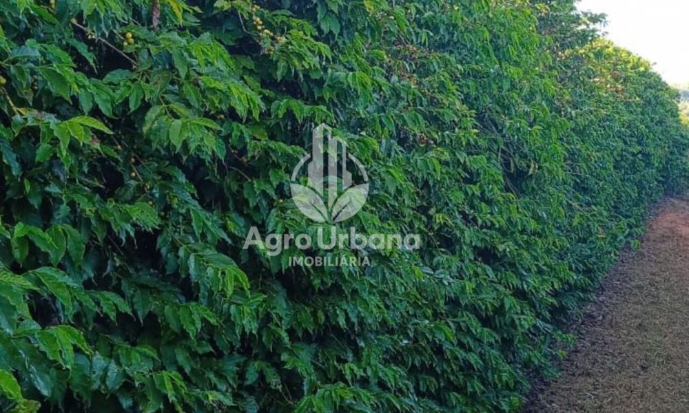 WhatsApp Image 2025-04-05 at 15.12.56 (1)