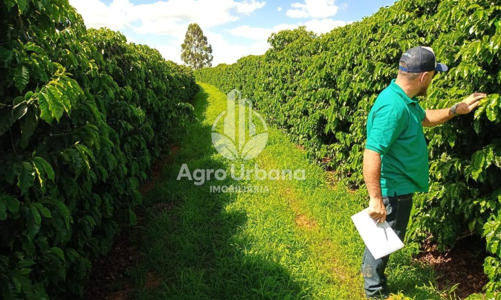 WhatsApp Image 2025-04-05 at 15.12.56 (2)