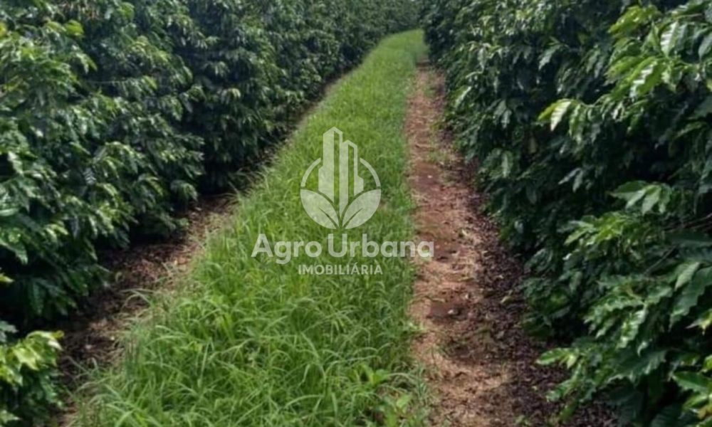 WhatsApp Image 2025-04-05 at 15.12.56