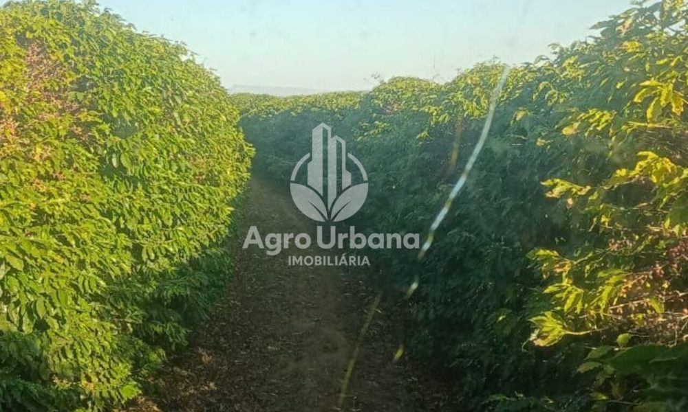 WhatsApp Image 2025-04-05 at 15.12.57 (1)