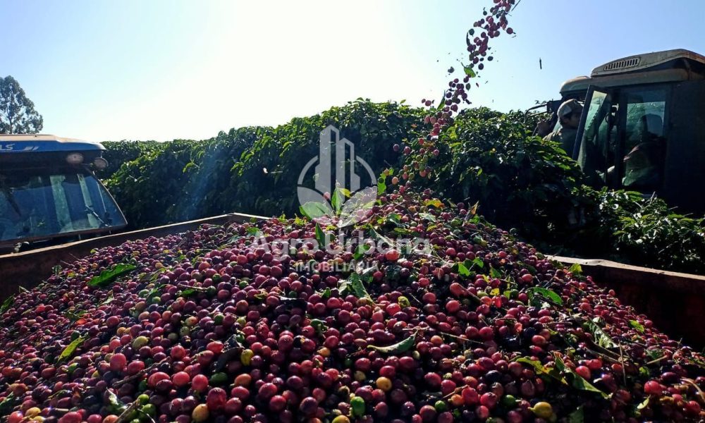 WhatsApp Image 2025-04-05 at 15.12.57 (2)