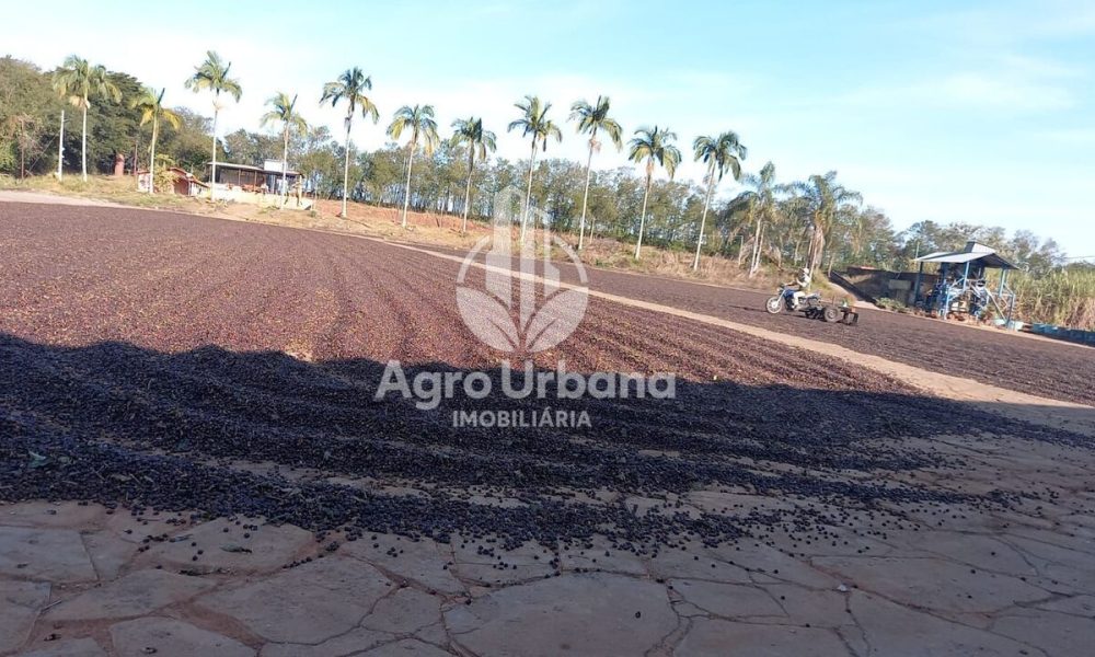 WhatsApp Image 2025-04-05 at 15.12.57 (4)