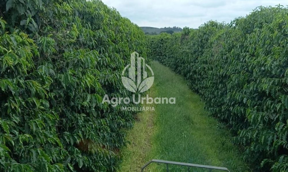 WhatsApp Image 2025-04-05 at 15.12.57