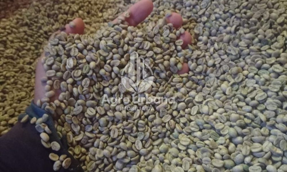 WhatsApp Image 2025-04-05 at 15.12.58 (1)