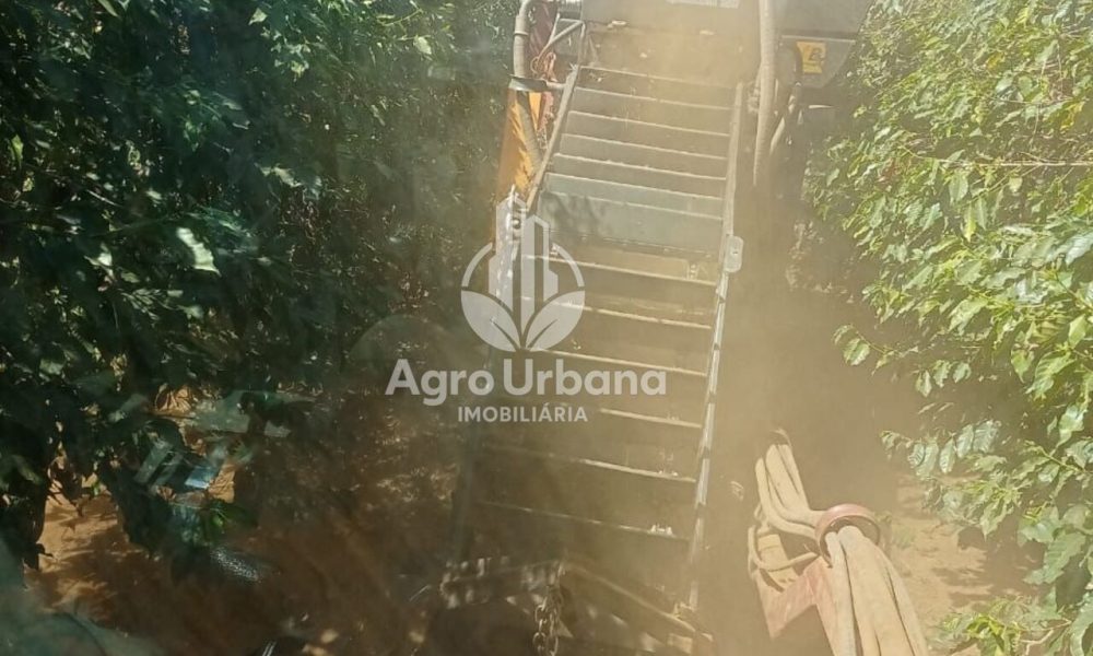 WhatsApp Image 2025-04-05 at 15.12.58 (2)