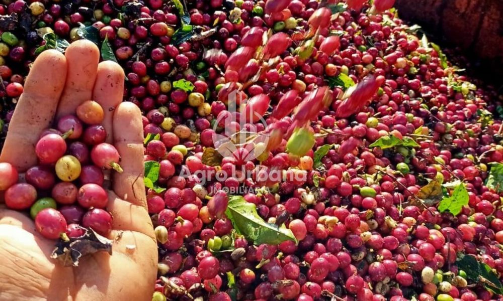 WhatsApp Image 2025-04-05 at 15.12.58 (3)