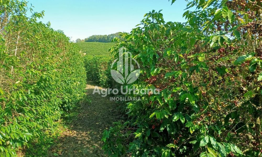 WhatsApp Image 2025-04-05 at 15.12.59