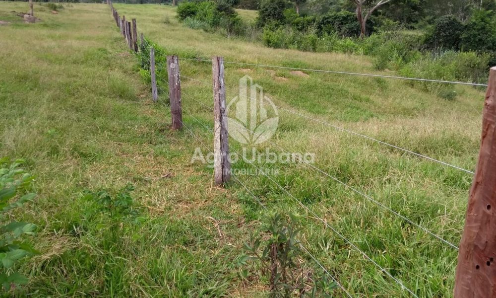 WhatsApp Image 2025-04-05 at 15.14.06 (1)