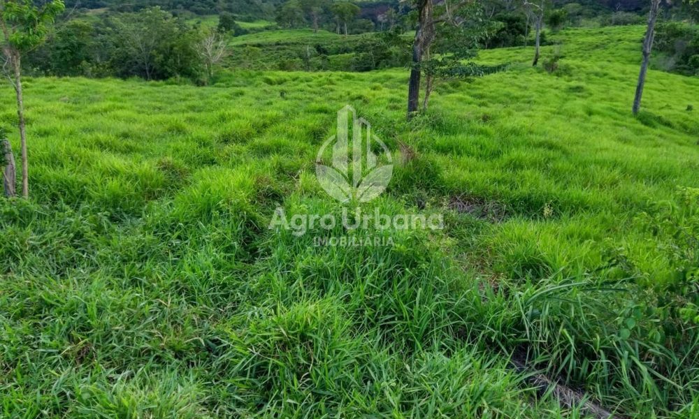 WhatsApp Image 2025-04-05 at 15.14.07 (1)