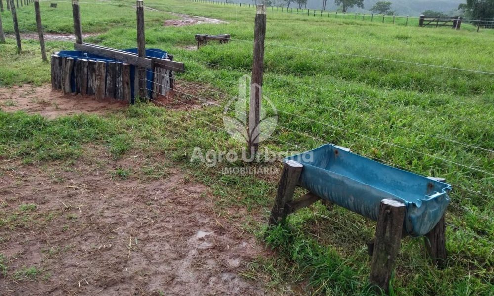 WhatsApp Image 2025-04-05 at 15.14.07 (3)