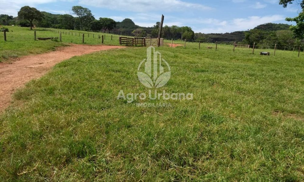 WhatsApp Image 2025-04-05 at 15.14.07