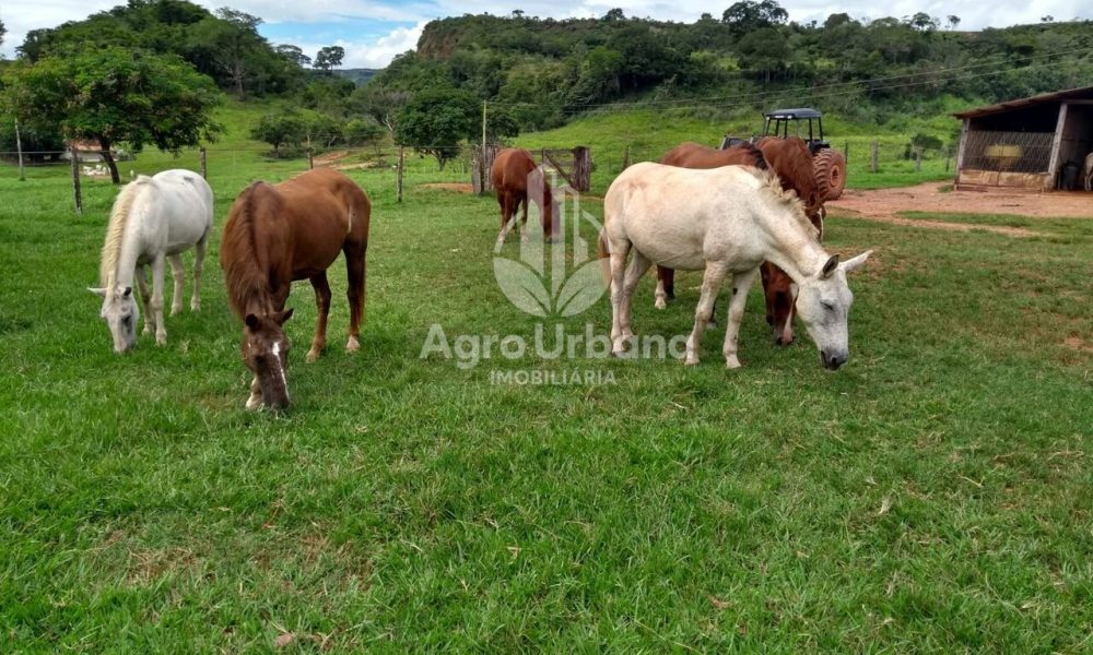 WhatsApp Image 2025-04-05 at 15.14.08 (1)