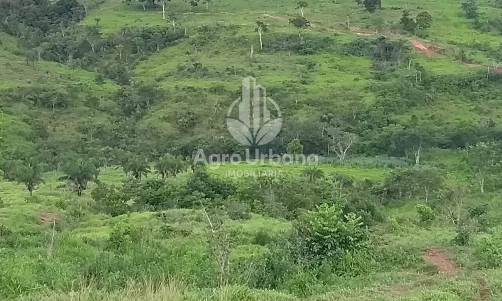 WhatsApp Image 2025-04-05 at 15.14.09 (1)