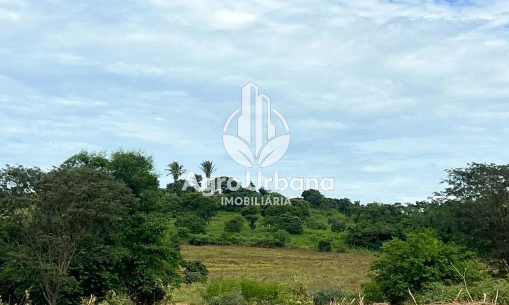 WhatsApp Image 2025-04-05 at 15.14.30