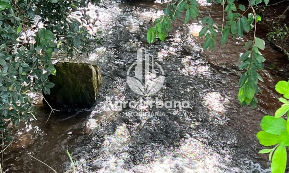 WhatsApp Image 2025-04-05 at 15.14.31 (1)