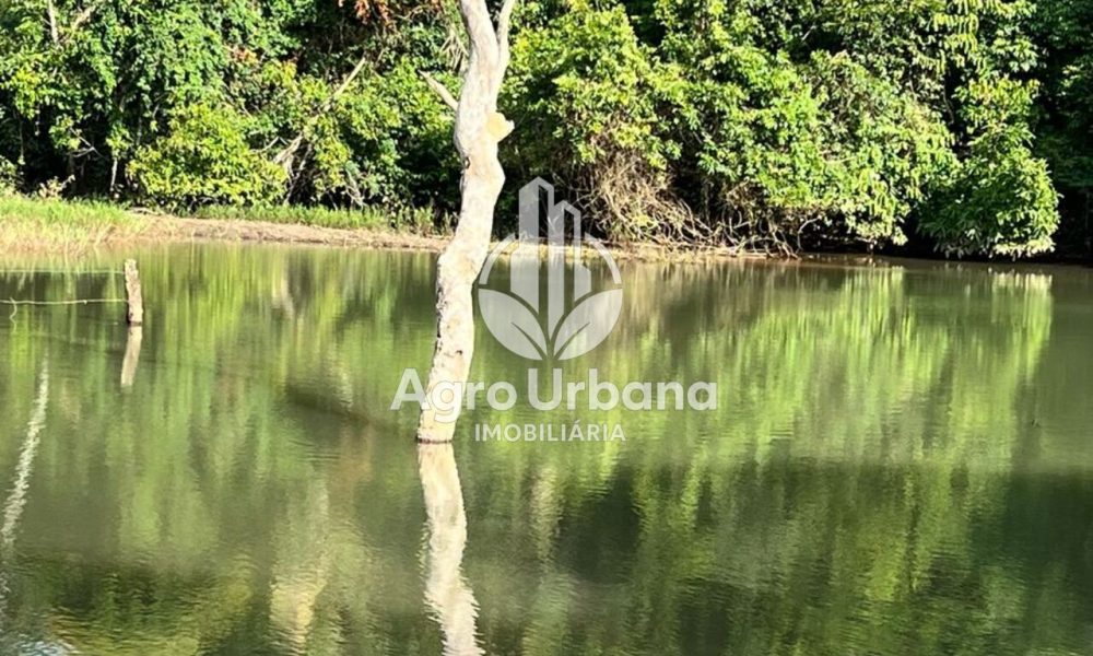 WhatsApp Image 2025-04-05 at 15.14.31 (2)