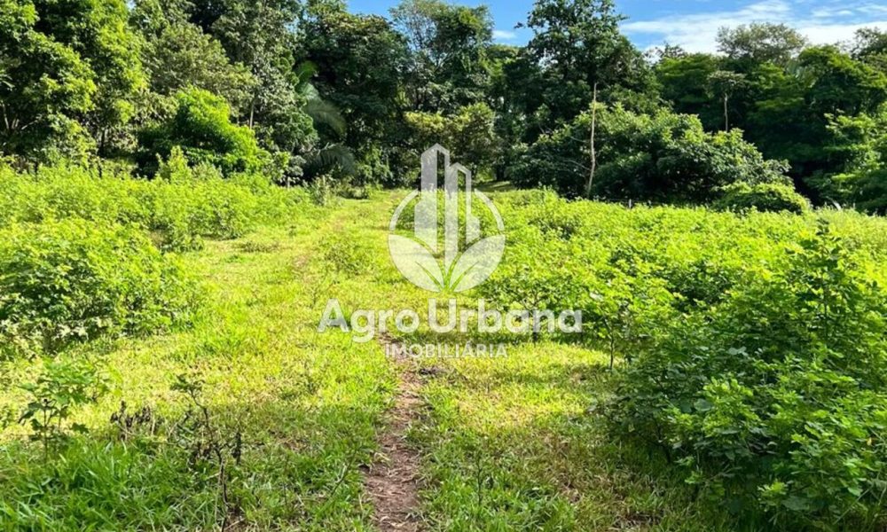 WhatsApp Image 2025-04-05 at 15.14.31 (3)