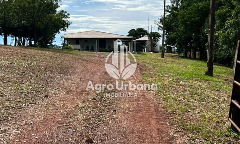 WhatsApp Image 2025-04-05 at 15.14.31