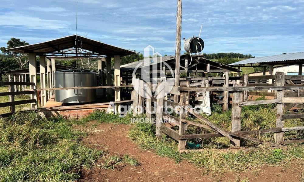 WhatsApp Image 2025-04-05 at 15.14.32 (1)