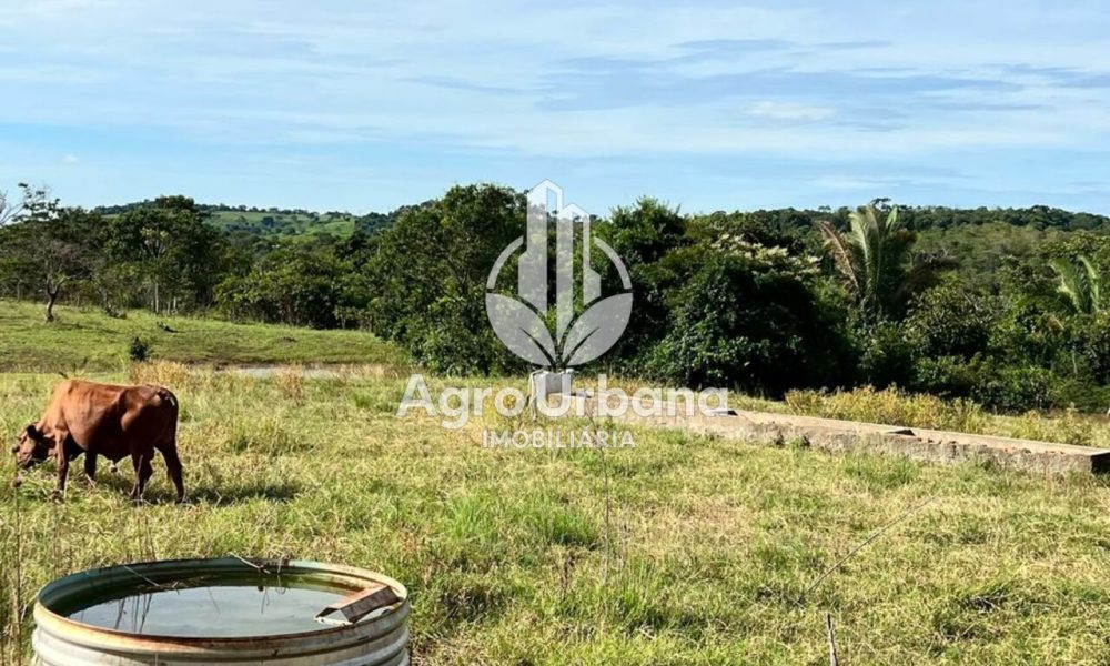 WhatsApp Image 2025-04-05 at 15.14.32 (3)