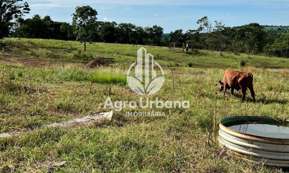 WhatsApp Image 2025-04-05 at 15.14.32