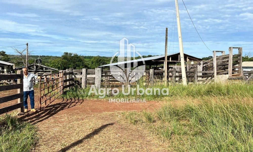 WhatsApp Image 2025-04-05 at 15.14.33 (1)