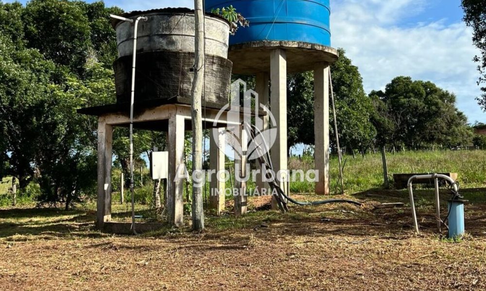 WhatsApp Image 2025-04-05 at 15.14.33 (2)