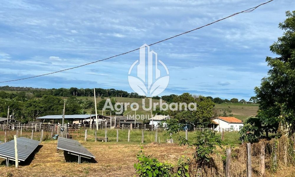 WhatsApp Image 2025-04-05 at 15.14.33 (3)