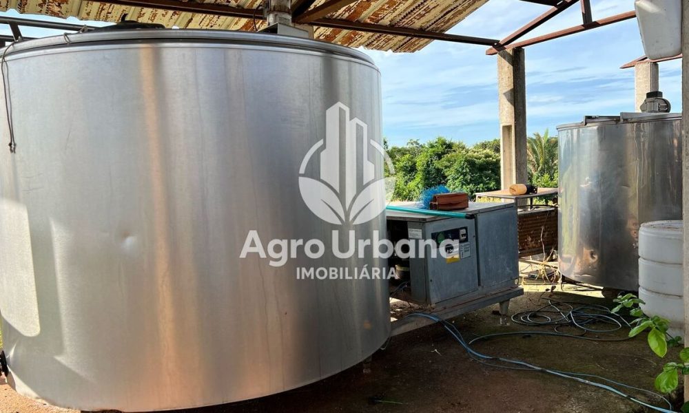 WhatsApp Image 2025-04-05 at 15.14.33