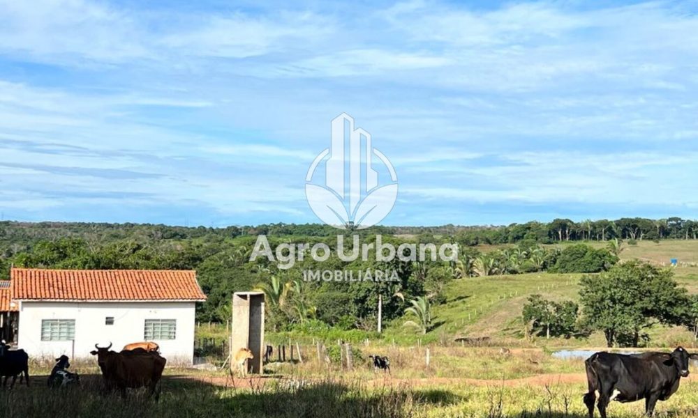 WhatsApp Image 2025-04-05 at 15.14.34 (1)