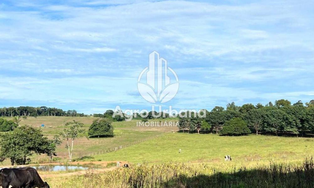 WhatsApp Image 2025-04-05 at 15.14.34 (2)