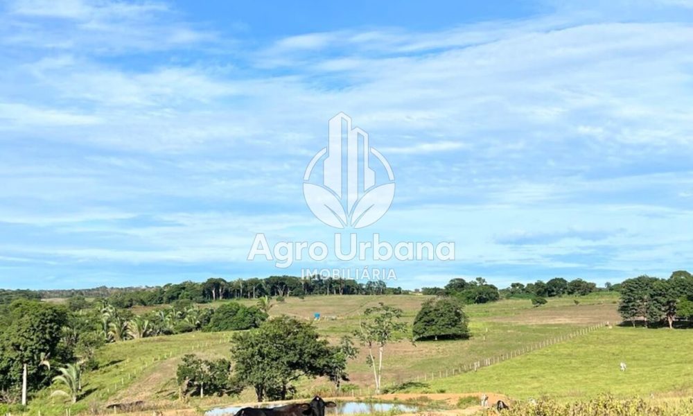 WhatsApp Image 2025-04-05 at 15.14.34