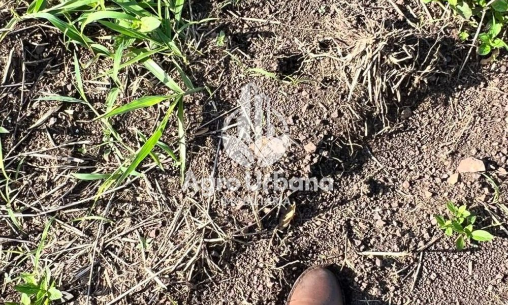 WhatsApp Image 2025-04-05 at 15.14.35 (1)