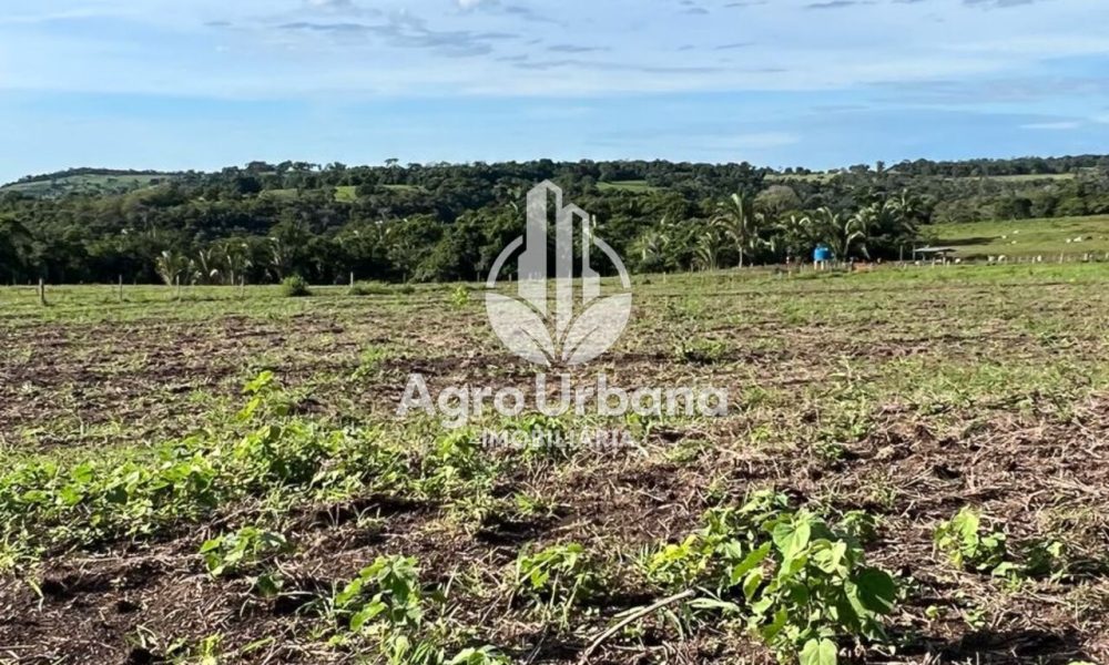 WhatsApp Image 2025-04-05 at 15.14.35 (2)