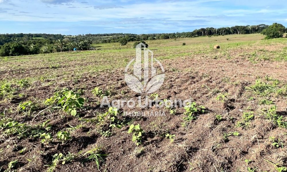 WhatsApp Image 2025-04-05 at 15.14.35 (3)