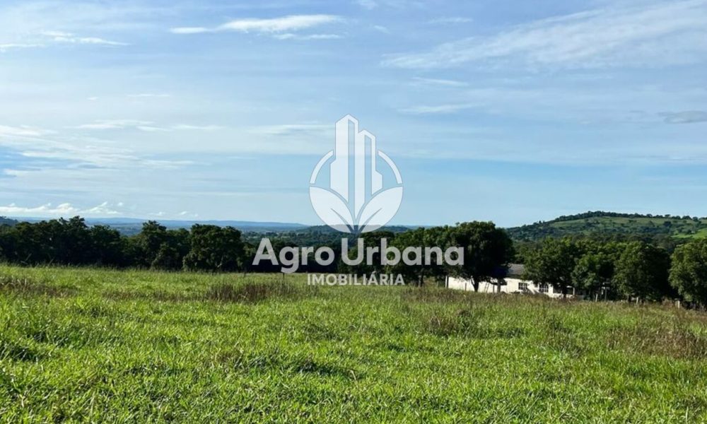 WhatsApp Image 2025-04-05 at 15.14.35