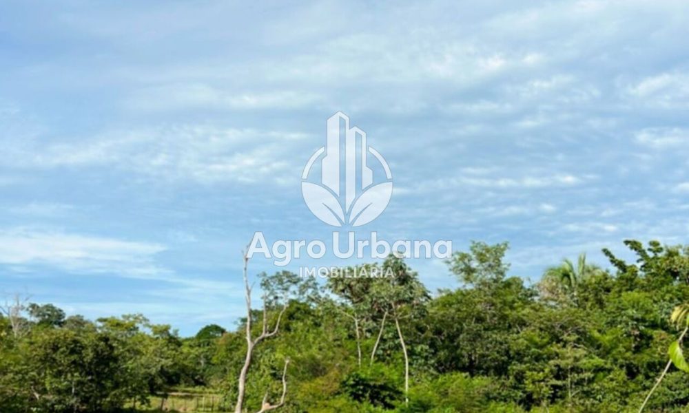 WhatsApp Image 2025-04-05 at 15.14.36 (1)