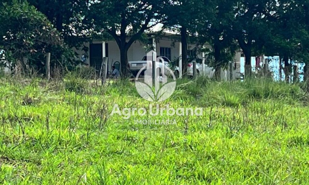 WhatsApp Image 2025-04-05 at 15.14.36 (2)