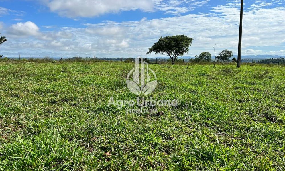 WhatsApp Image 2025-04-09 at 13.07.33 (1)