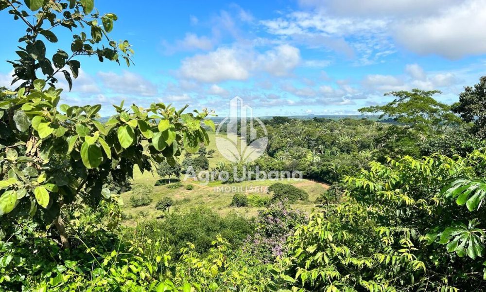 WhatsApp Image 2025-04-09 at 13.07.33 (2)