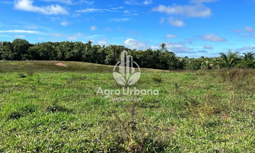 WhatsApp Image 2025-04-09 at 13.07.33