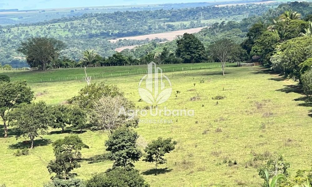 WhatsApp Image 2025-04-09 at 13.07.34 (1)