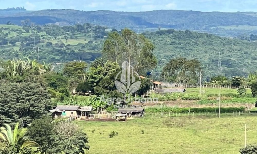 WhatsApp Image 2025-04-09 at 13.07.34