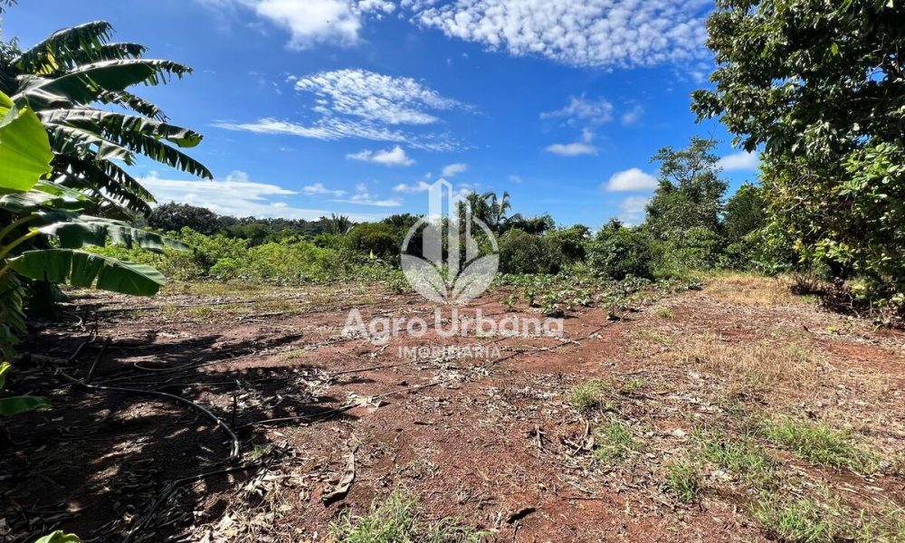 WhatsApp Image 2025-04-09 at 13.07.35 (1)