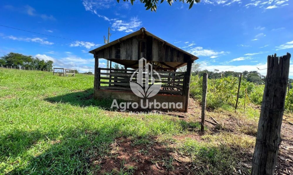 WhatsApp Image 2025-04-09 at 13.07.35 (3)