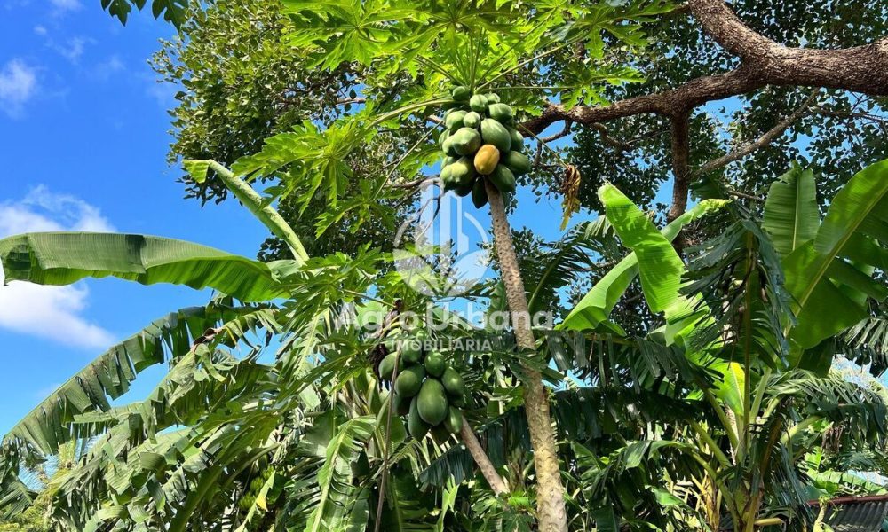 WhatsApp Image 2025-04-09 at 13.07.35