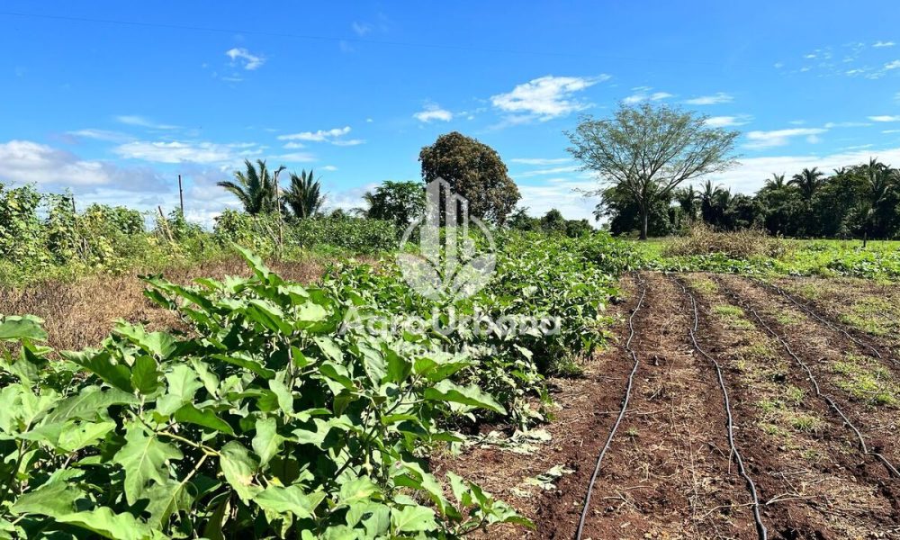 WhatsApp Image 2025-04-09 at 13.07.36 (2)