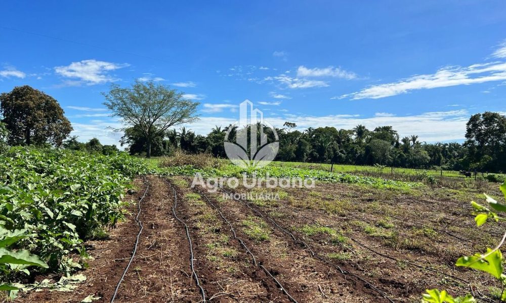 WhatsApp Image 2025-04-09 at 13.07.36