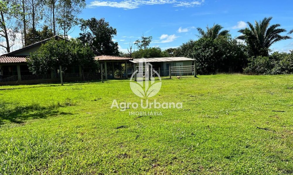 WhatsApp Image 2025-04-09 at 13.07.37