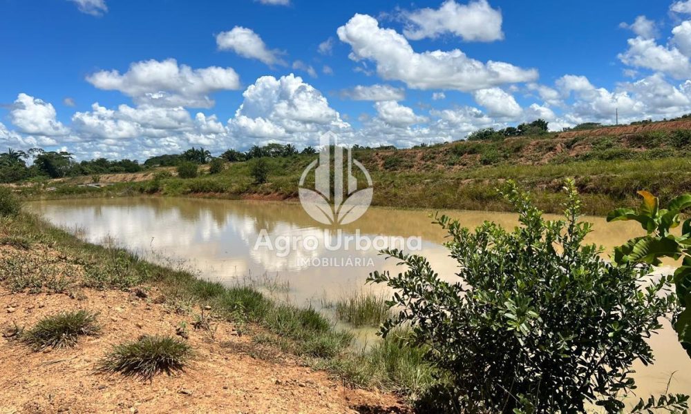 WhatsApp Image 2025-04-09 at 13.08.51 (1)